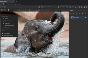 Adobe Photoshop tīmeklī